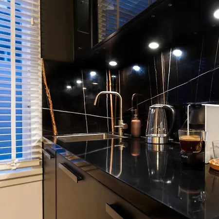 New Pearl Of Scheveningen Black Swan A Family Loft 180a * Den Haag