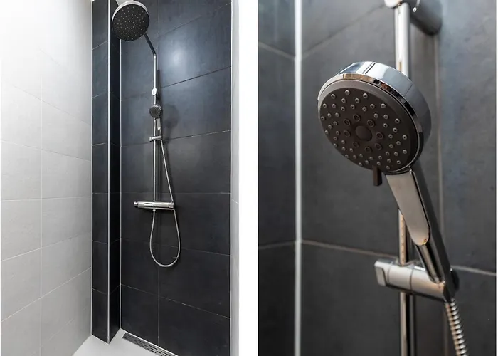 New Pearl Of Scheveningen Black Swan A Family Loft 180a Apartment *