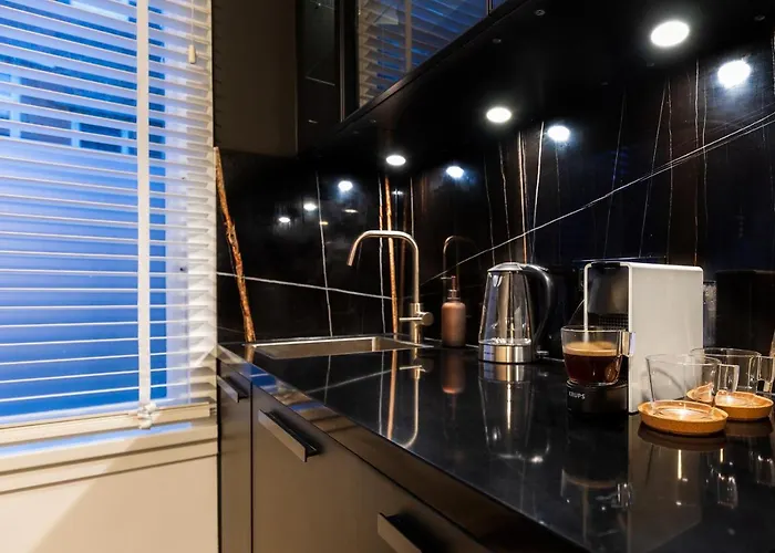 New Pearl Of Scheveningen Black Swan A Family Loft 180a * Den Haag