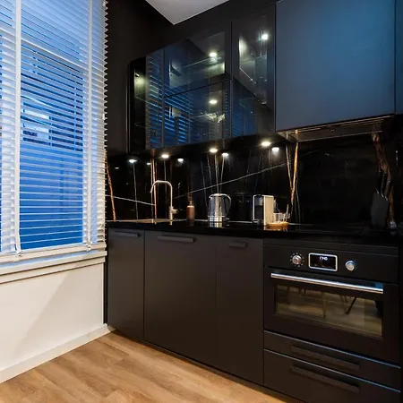 New Pearl Of Scheveningen Black Swan A Family Loft 180alive Apartment *