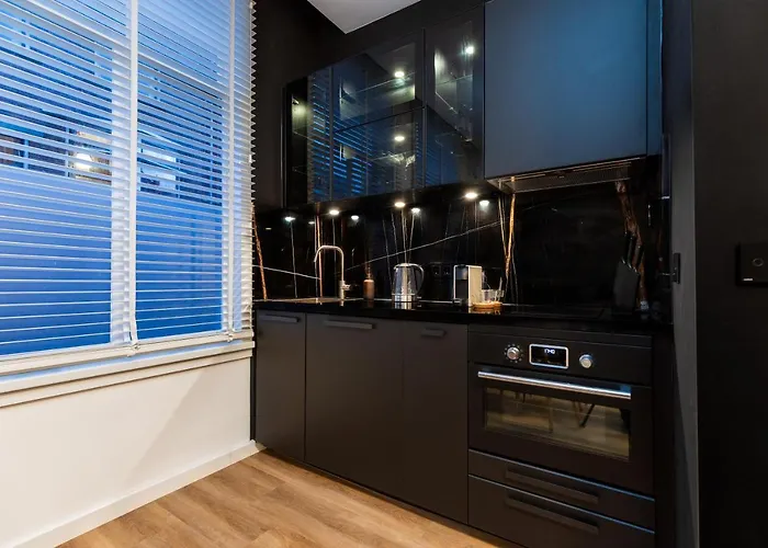 New Pearl Of Scheveningen Black Swan A Family Loft 180a 公寓 *